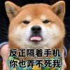 喜欢白虎