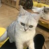 那你能