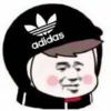 内容会极乐净土