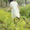 goifyige