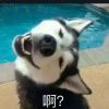 阿巴巴