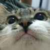 123123