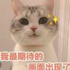点多