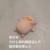 未来