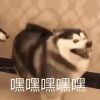 1嗯啊您加我破功